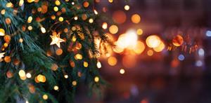 Tree Lighting