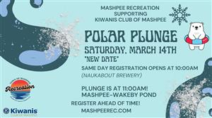 Polar Plunge